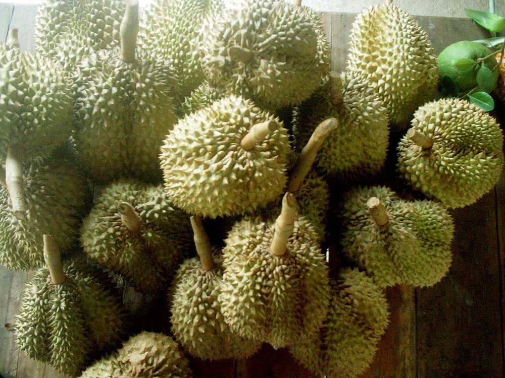 Durian (Sầu Riêng)