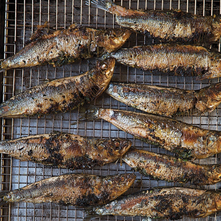 japanese grilled sardines