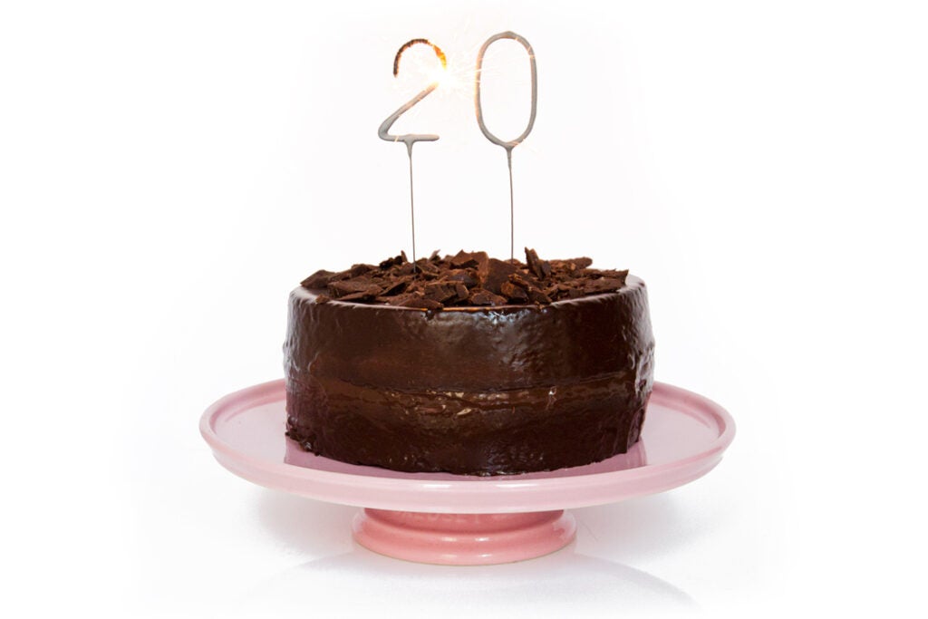 Order 20 Pink Roses and half kg Chocolate Truffle Cake online | free  delivery in 3 hours - Flowera