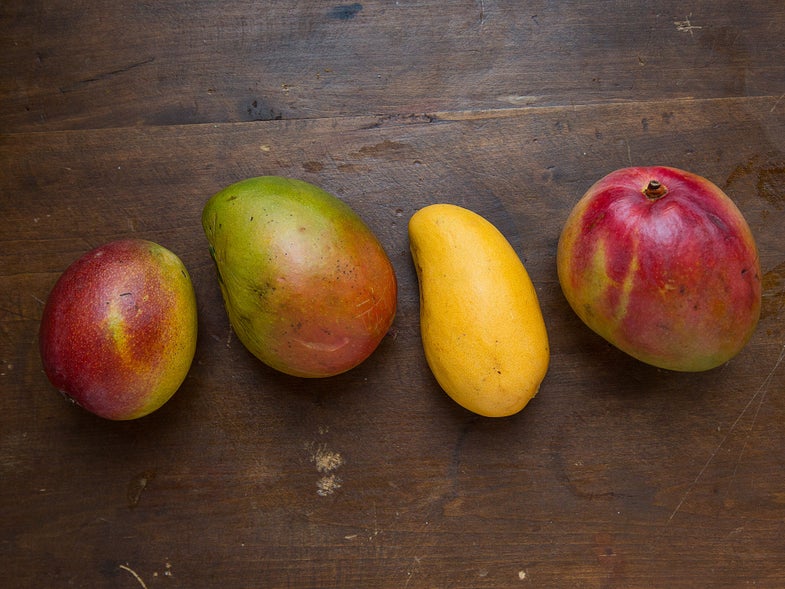 Mangos how to tell when ripe