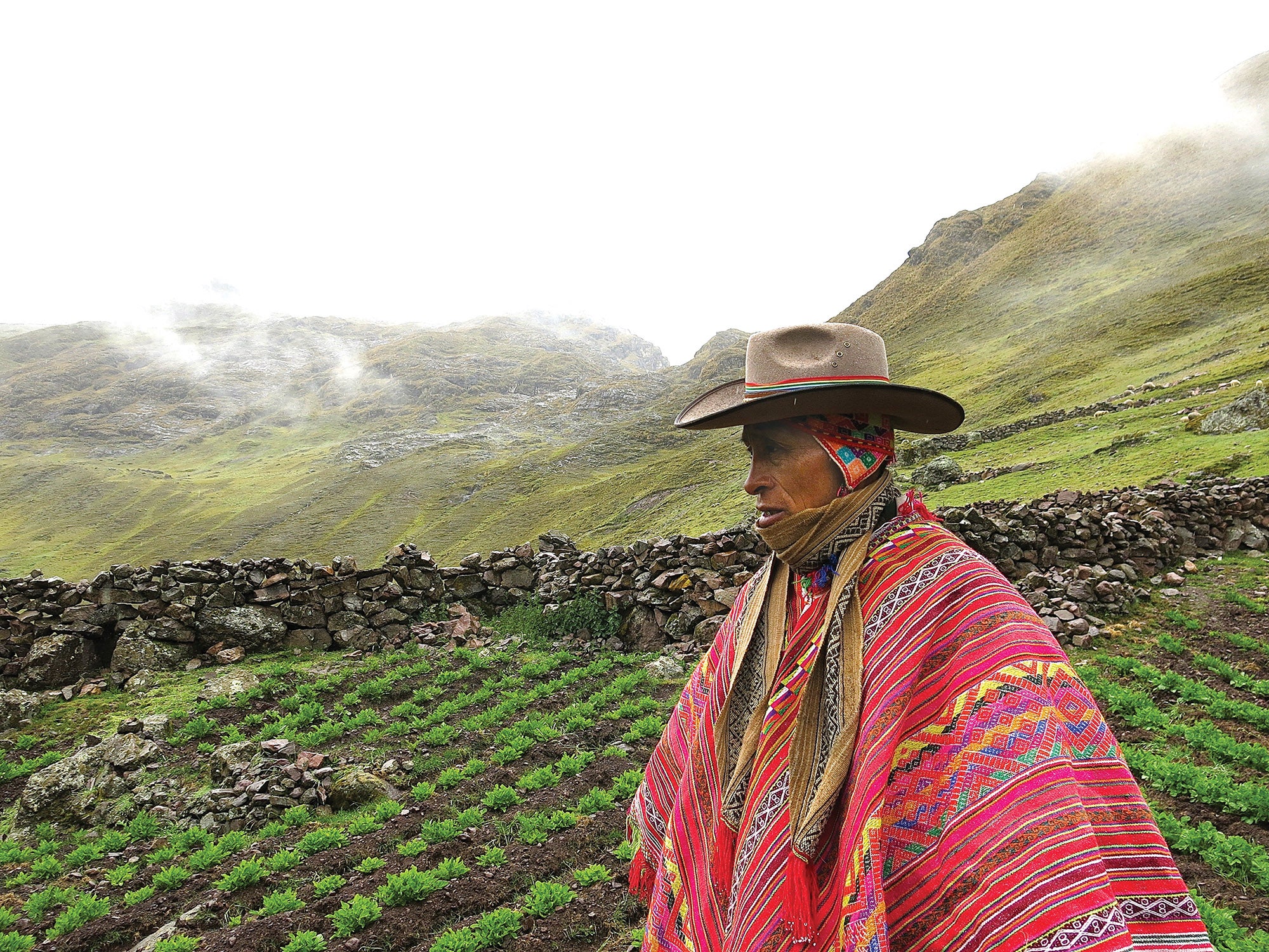 How a Peruvian Farmer is Growing 180 Kinds of Potatoes | Saveur