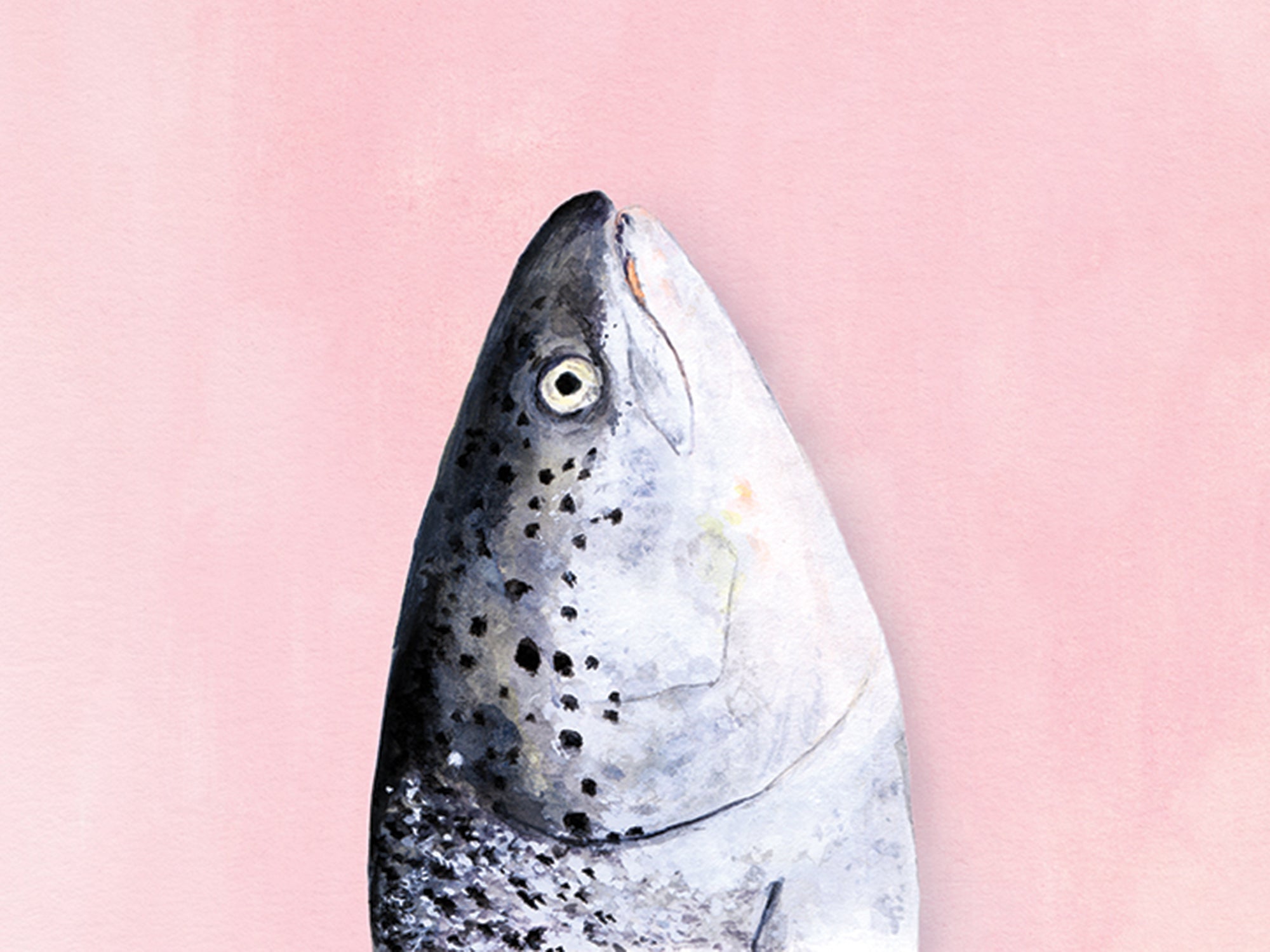 fish head