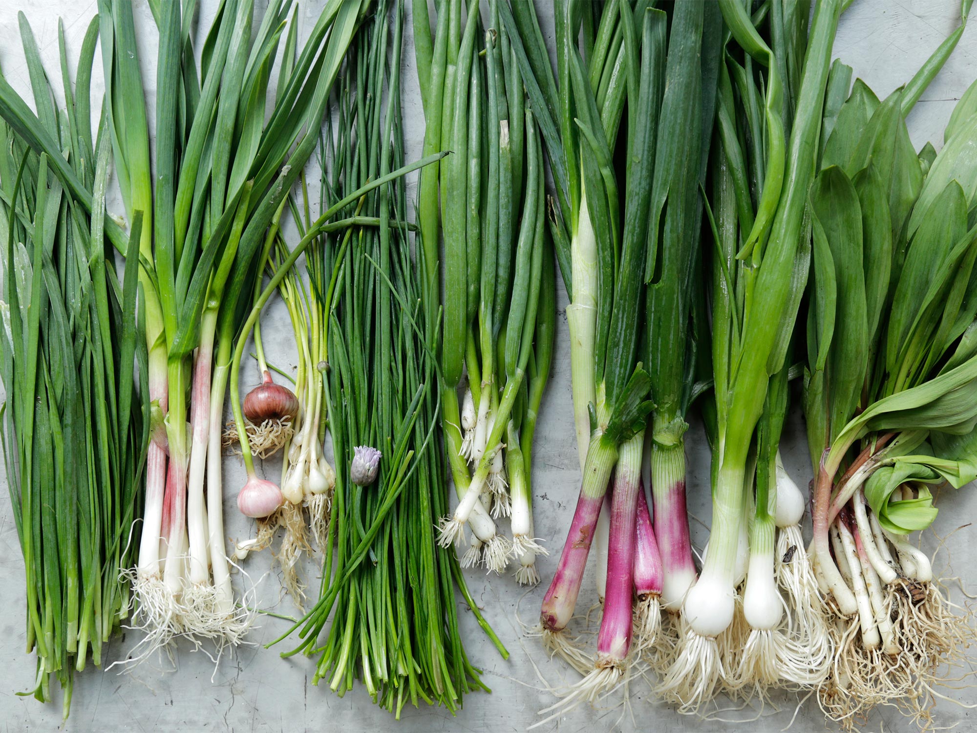 The difference between shallots, green onions, scallions and spring onions