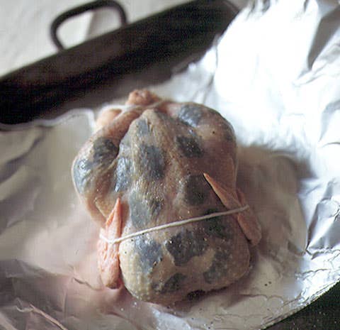 Truffled Chicken
