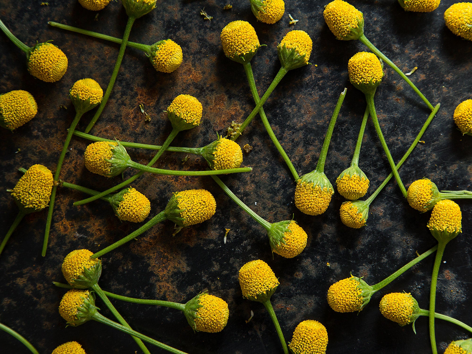 Buzzy Ingredient Cooking With Szechuan Buttons