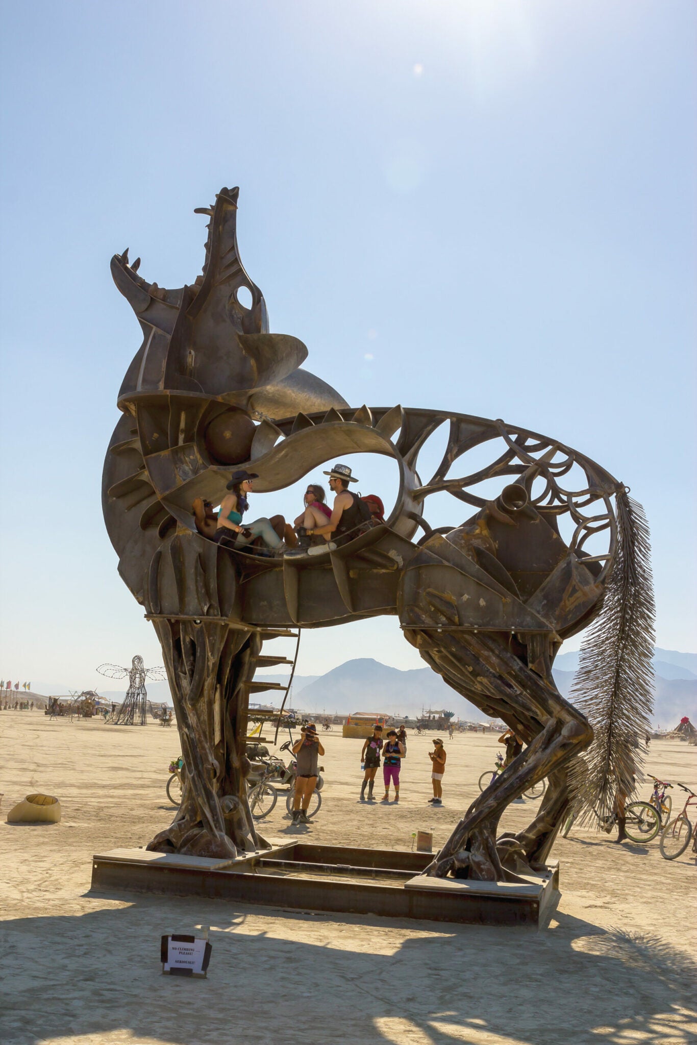 Scenes from Burning Man