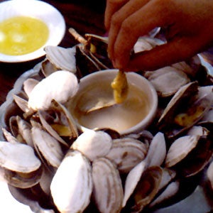 steamer clams