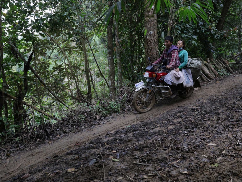 The Pu Erh Brokers Of Yunnan Province