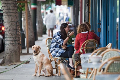 Scenes from San Francisco's North Beach neighborhood