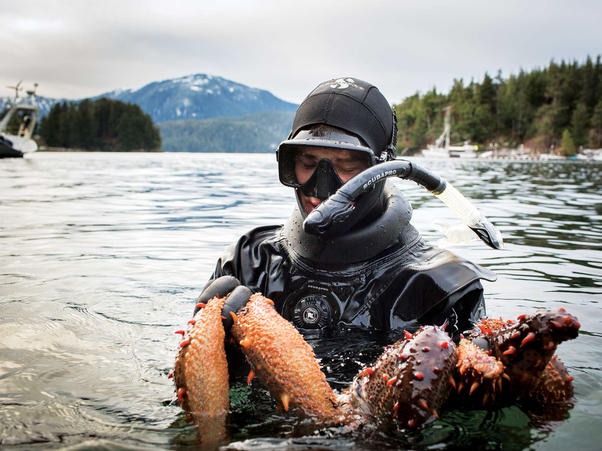 In Search of Alaska's Deadliest Catch: The Sea Cucumber | Saveur