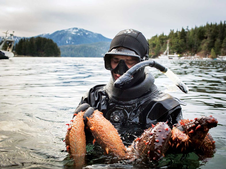 In Search of Alaska's Deadliest Catch The Sea Cucumber