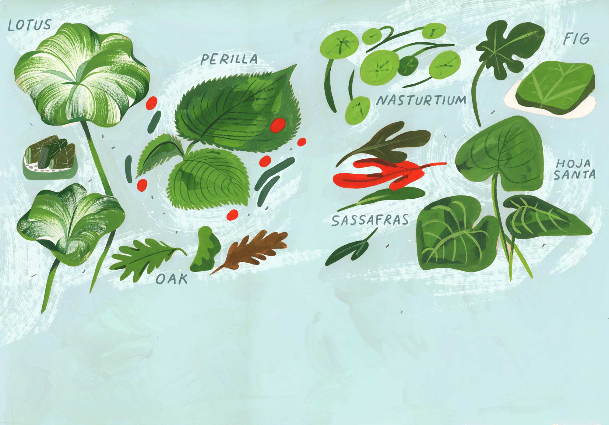 10 Flavor-Packed Leaves From Around the World to Bring Into Your Kitchen