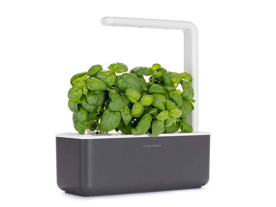 The Best Indoor Herb Gardens for Home Cooks | Saveur