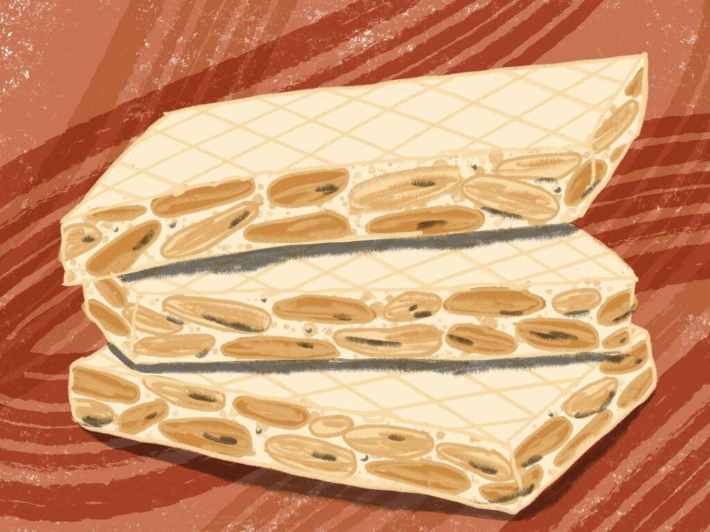 Illustration Spanish turrón