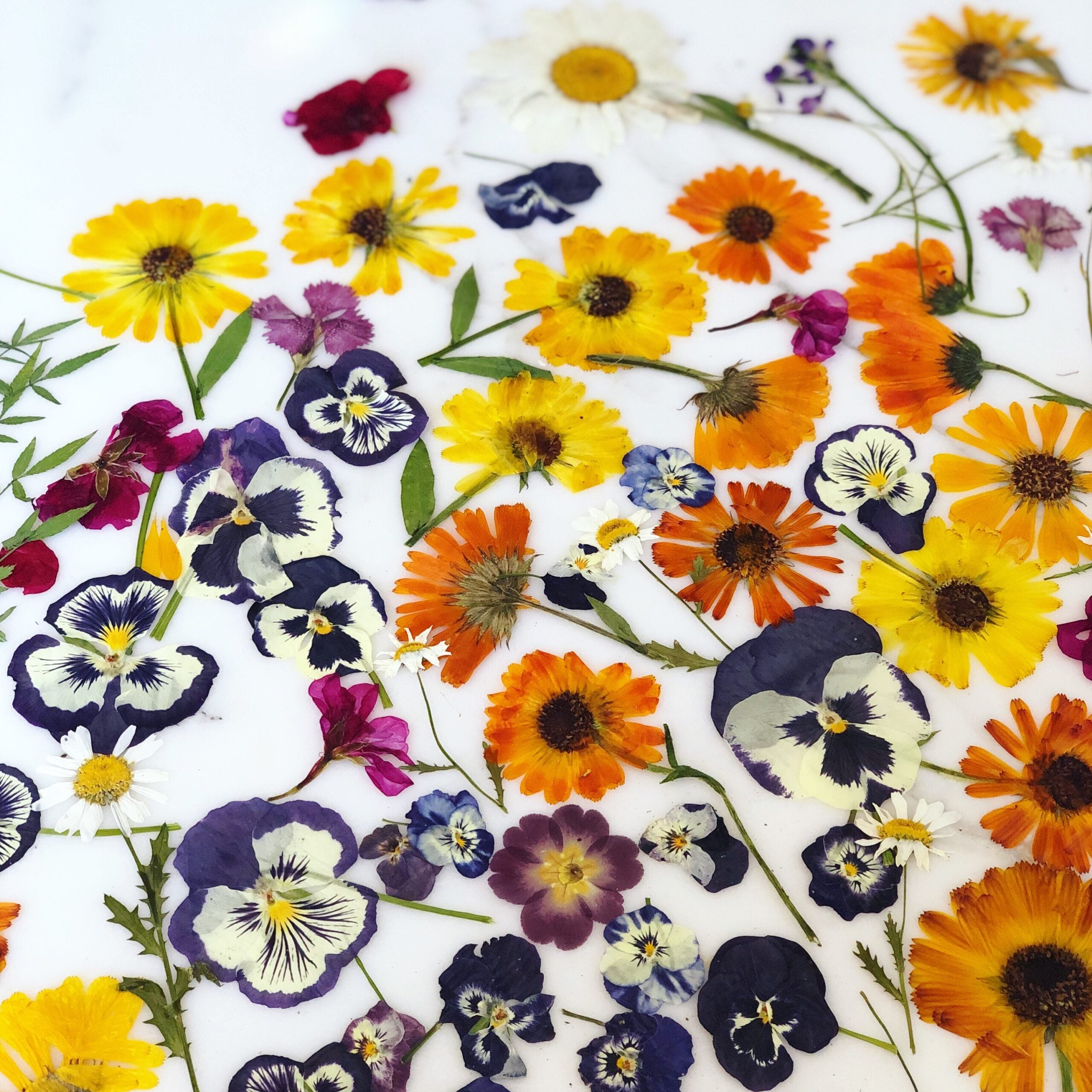 Loria Stern On How To Cook With Edible Flowers Saveur