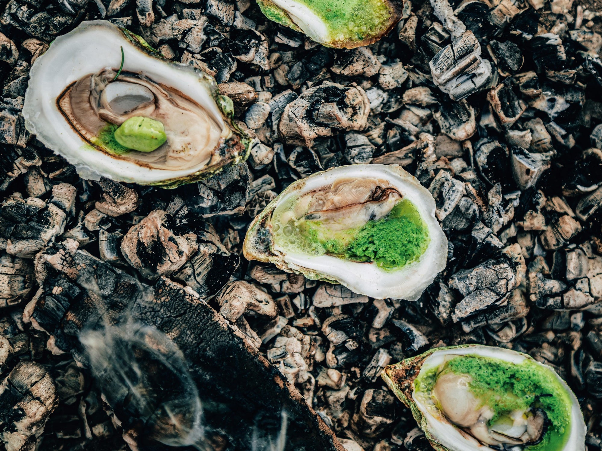 Grilled Oysters with Herbed Brown Butter • A Wholesome New World