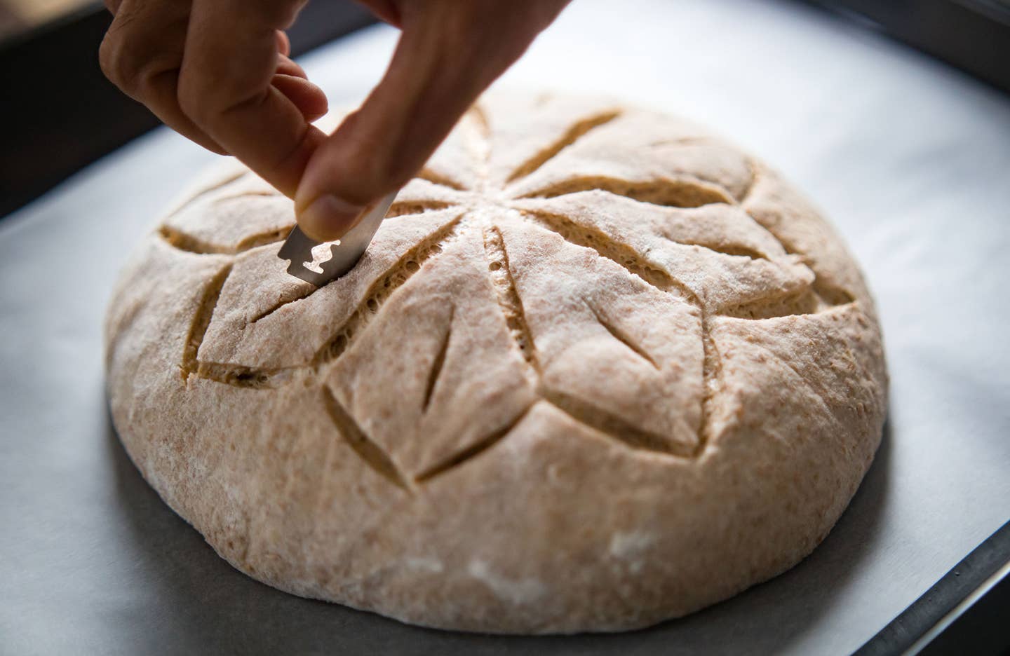 Bread Lames vs. Other Scoring Tools: Pros and Cons