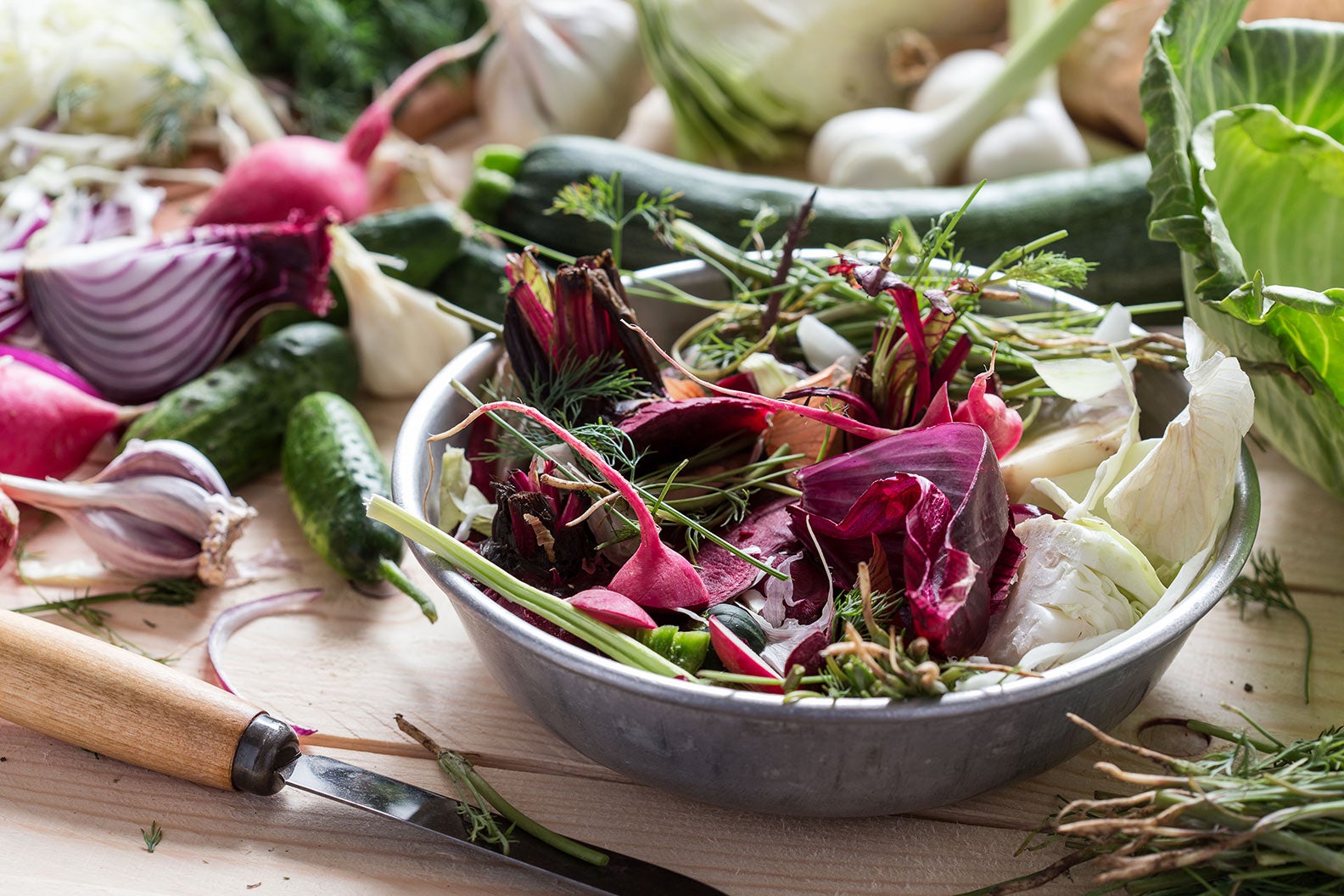 5 Best Kitchen Compost Bins to Reduce Your Food Waste - EcoWatch