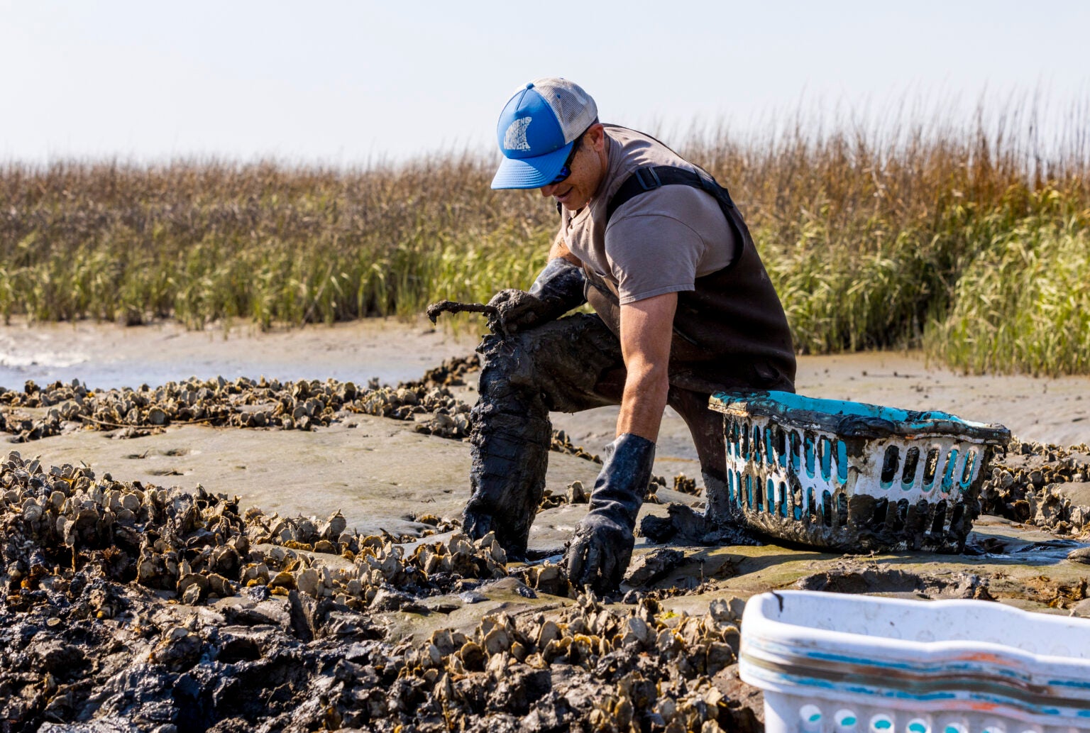 South Carolina Wants You To Recycle Your Empty Oyster Shells | Saveur