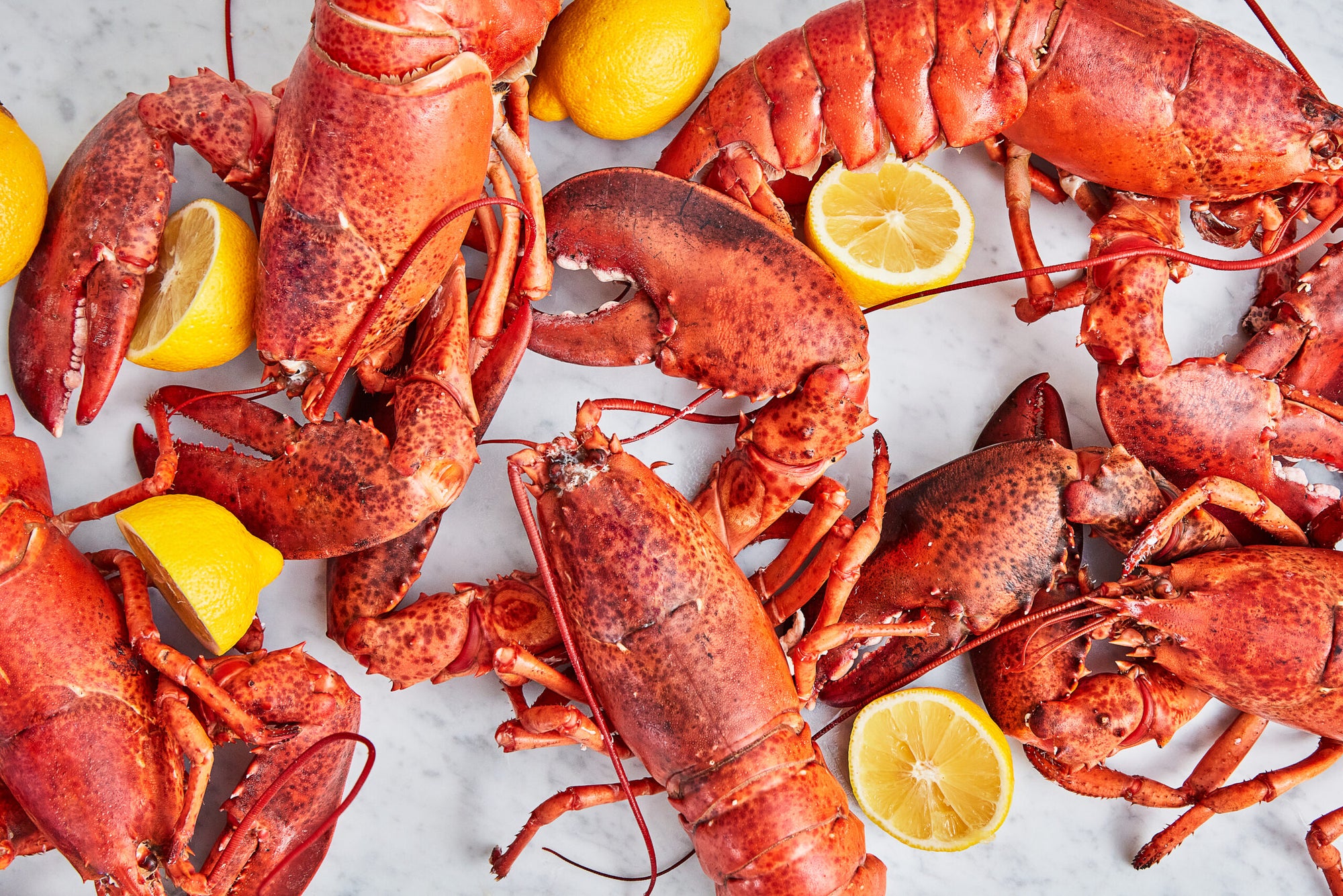 How To Cook A Lobster