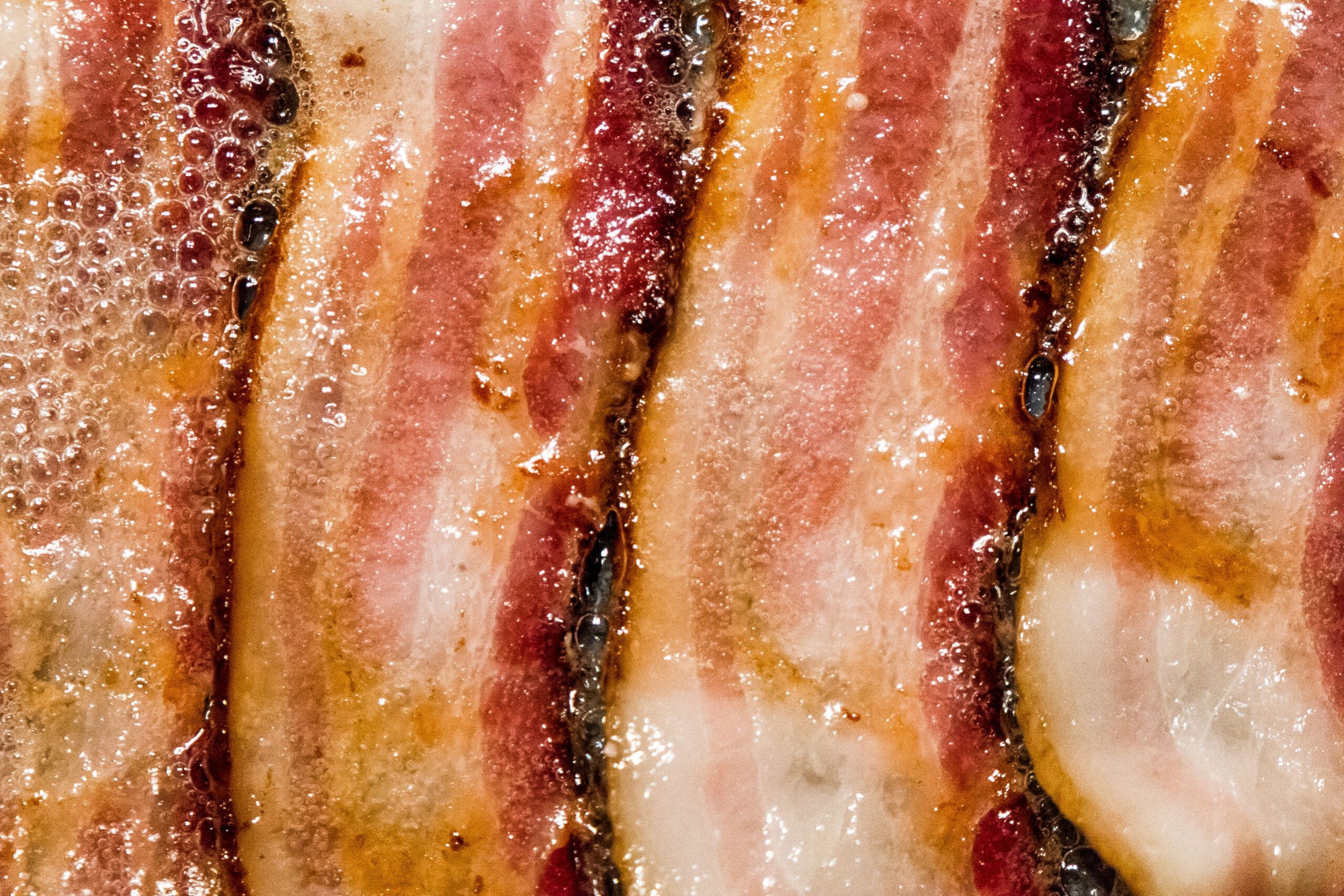 How to Cook Bacon in the Oven Saveur