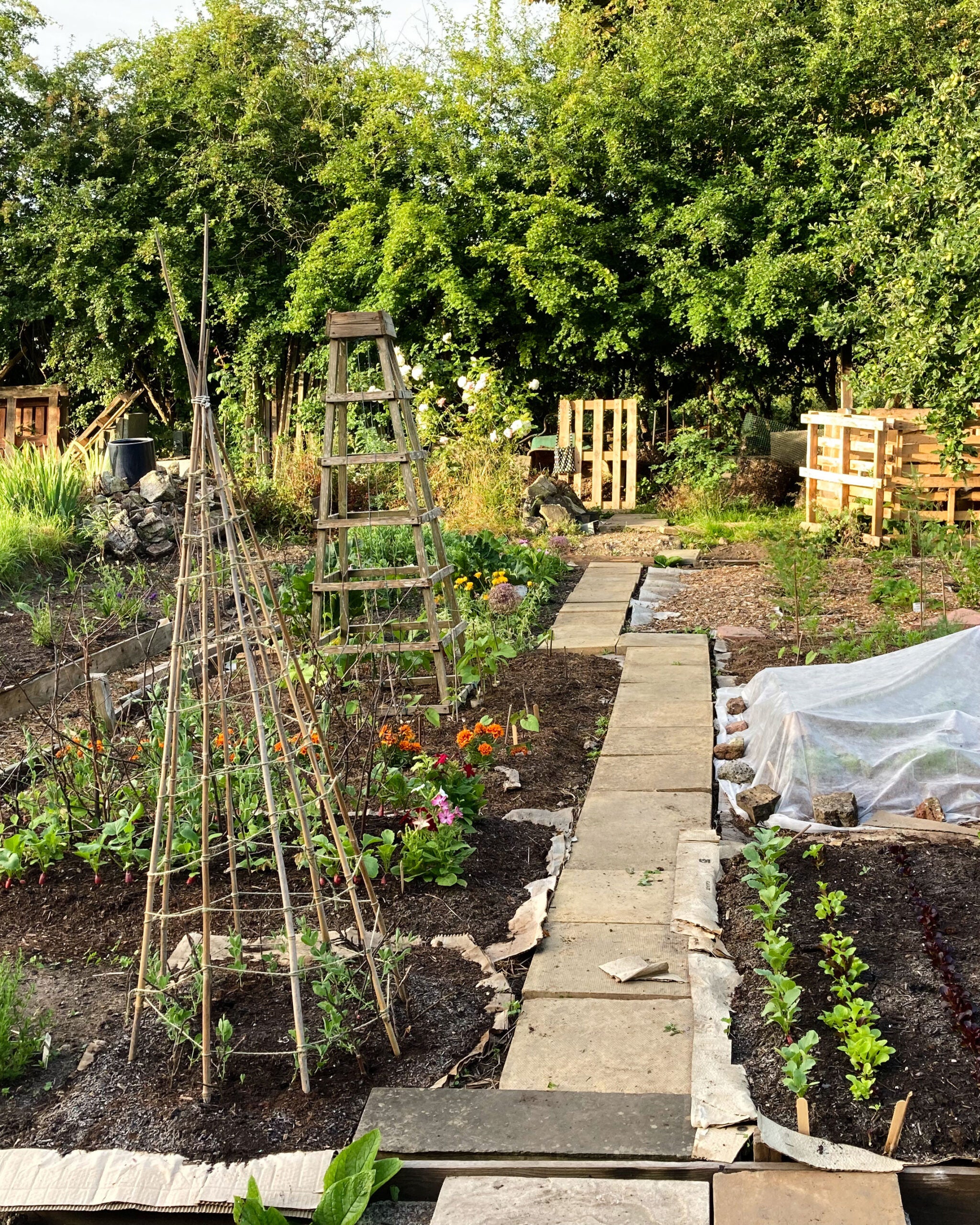 The No-Dig Garden Method: Make Amazing Soil With Less Work