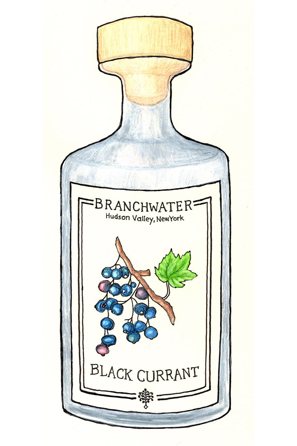 Branchwater Black Currant Brandy, United States