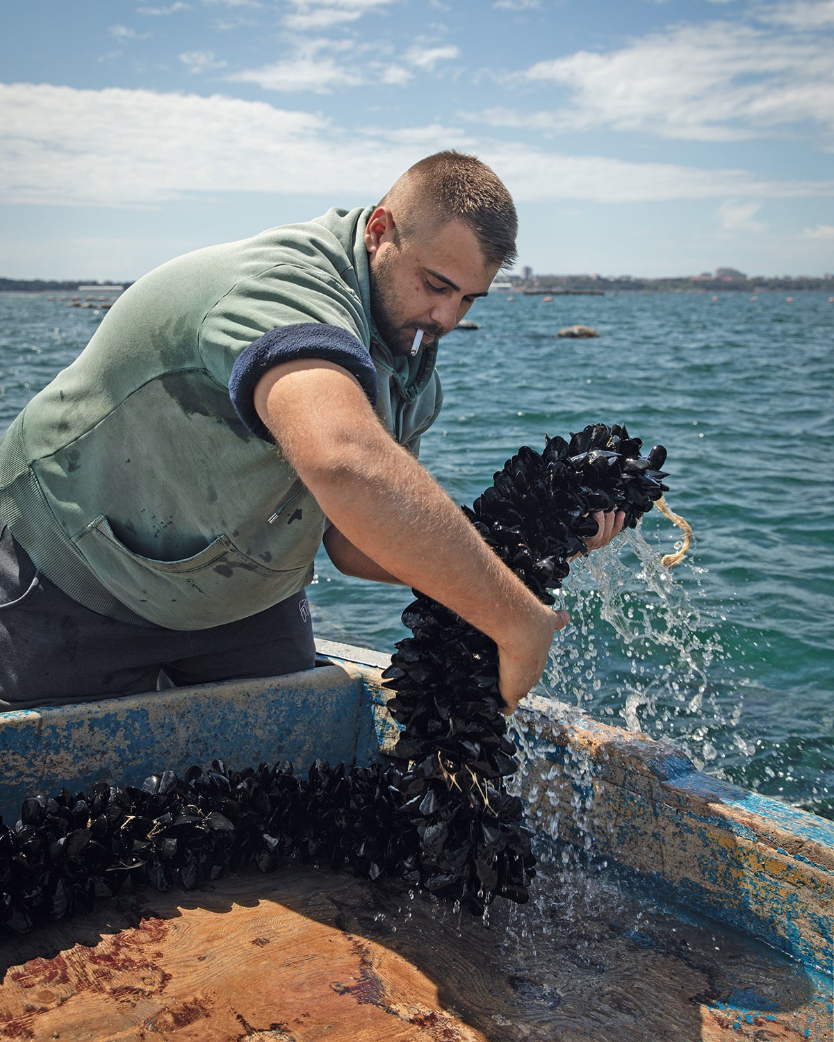 mussel farming in Taranto