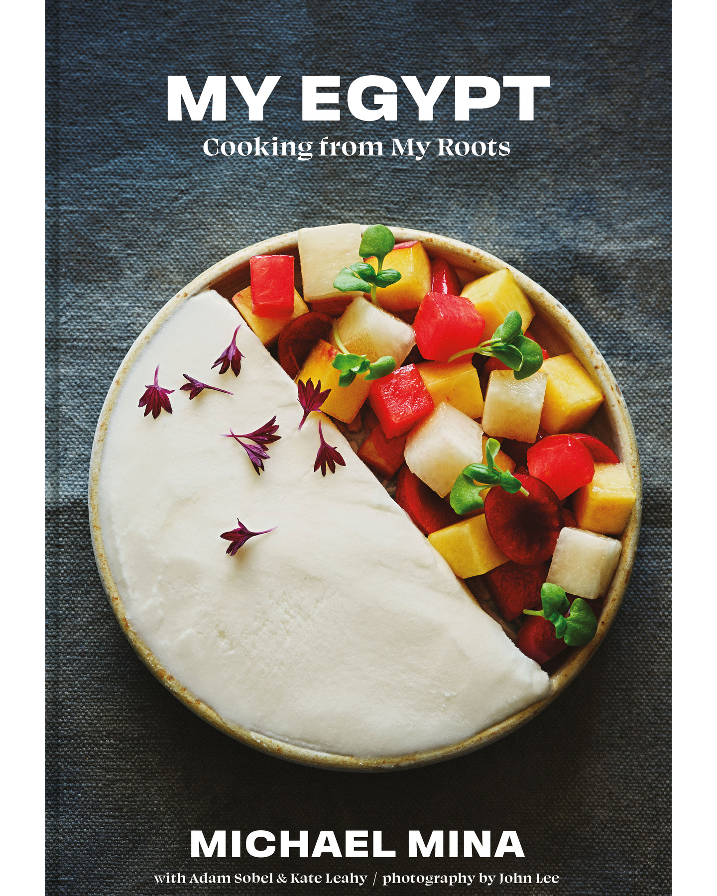 My Egypt cookbook cover